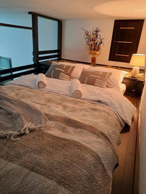 Sofia's Comfy Studio In The Old Town Brasov
