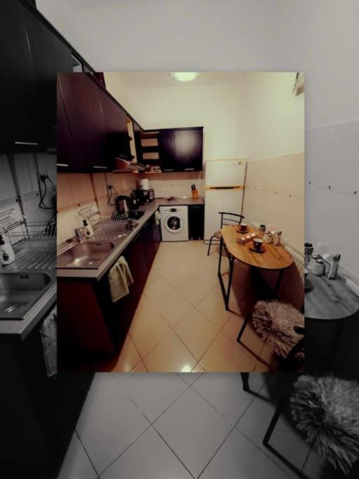 Sofia's Comfy Studio In The Old Town Brasov